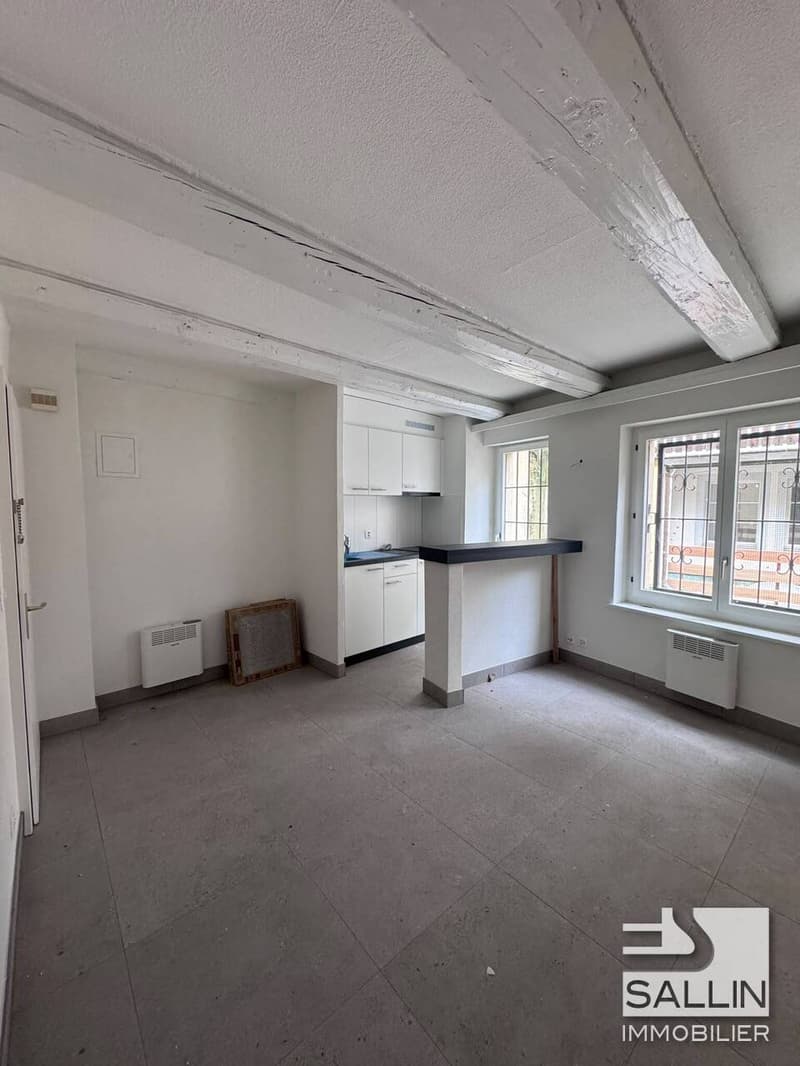 STUDIO RENOVE AVEC TERRASSE AU CENTRE VILLE (2)