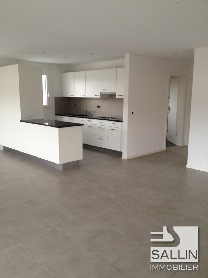 APPARTEMENT MODERNE DE 3½ PIECES (2)