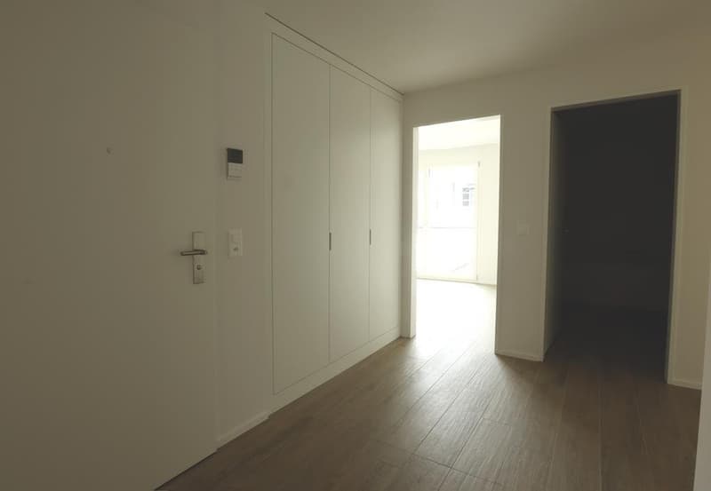 Eingangsbereich mit Einbauschränken