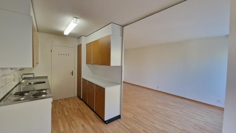 Kueche_mit_Blick_zum_Wohnzimmer