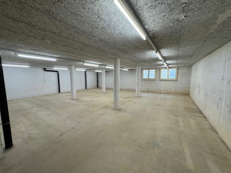 Immagine commerciale a Töss (4)