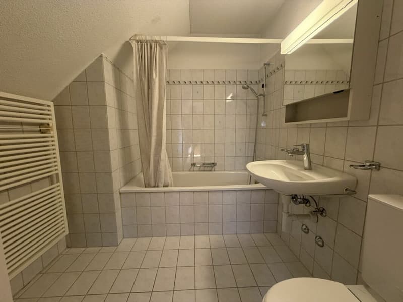 Grosszügige 1 1/2-Zimmer-Dachwohnung an zentraler Lage (7)
