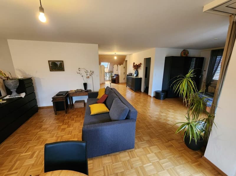 Grosszügige 1 1/2-Zimmer-Dachwohnung an zentraler Lage (4)