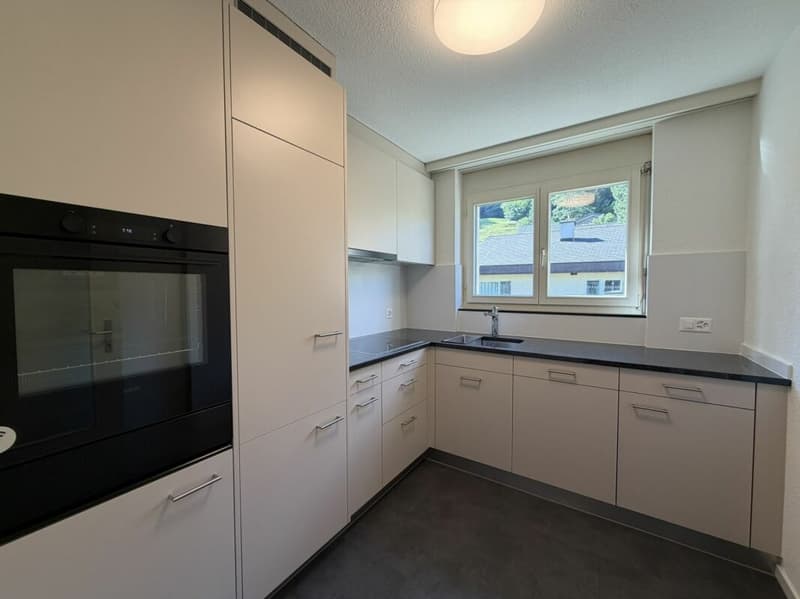 Grosszügige 1 1/2-Zimmer-Dachwohnung an zentraler Lage (2)
