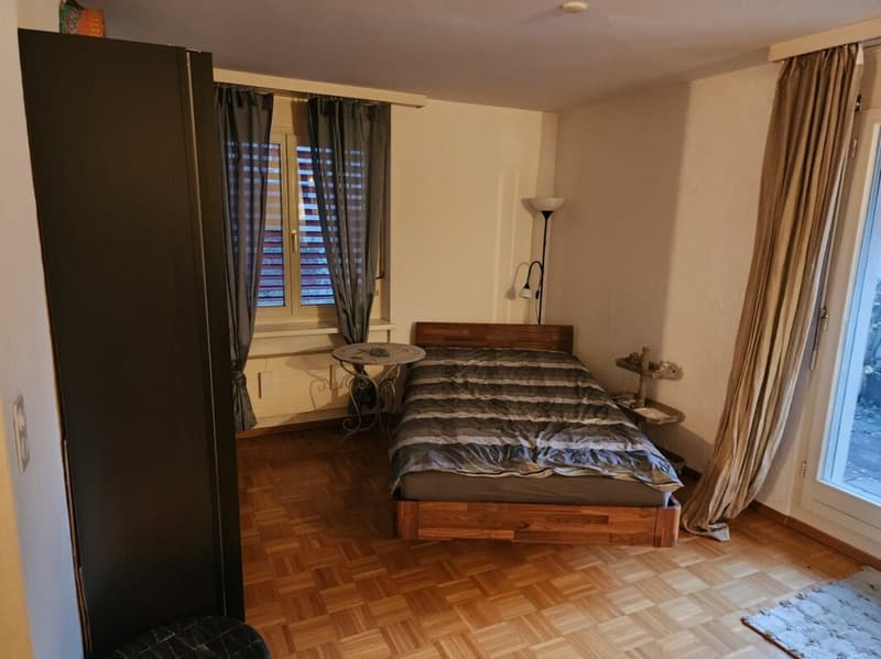 Grosszügige 1 1/2-Zimmer-Dachwohnung an zentraler Lage (6)