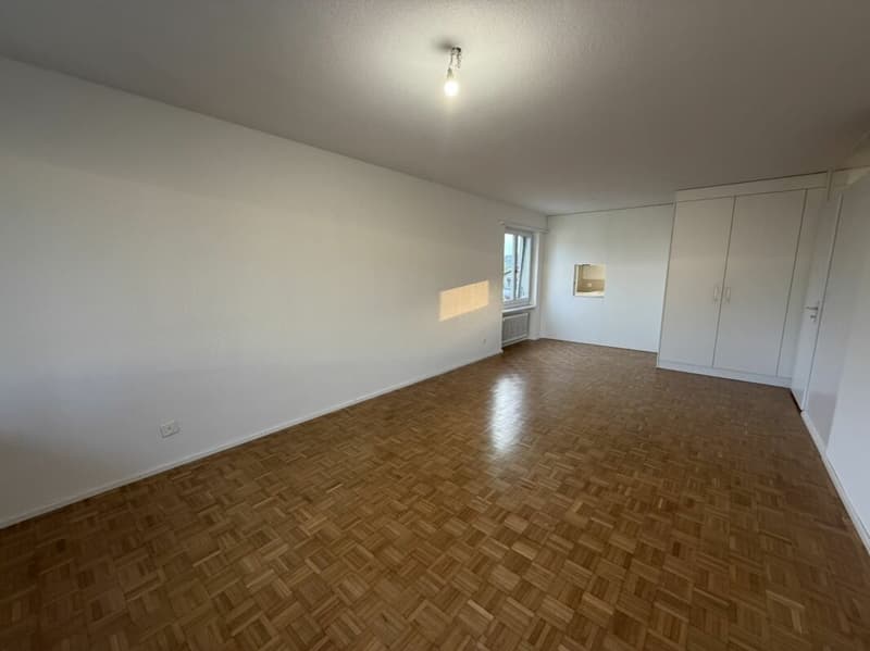 Modernisierte Wohnung am Stadtrand (3)