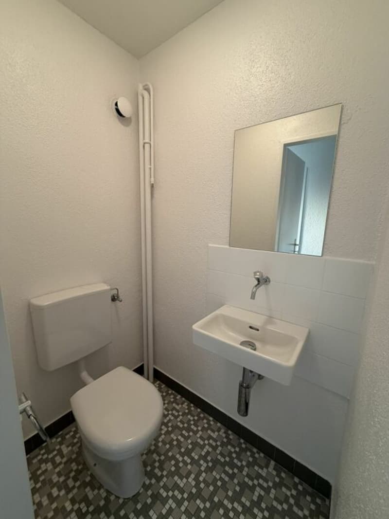 Modernisierte Wohnung am Stadtrand (8)
