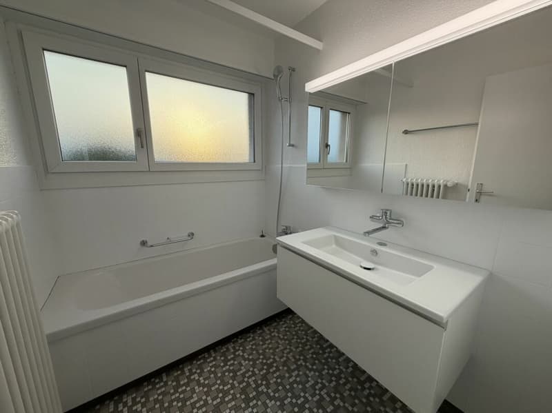 Modernisierte Wohnung am Stadtrand (7)