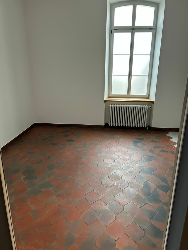 B_Herzogenbuchsee.jpg