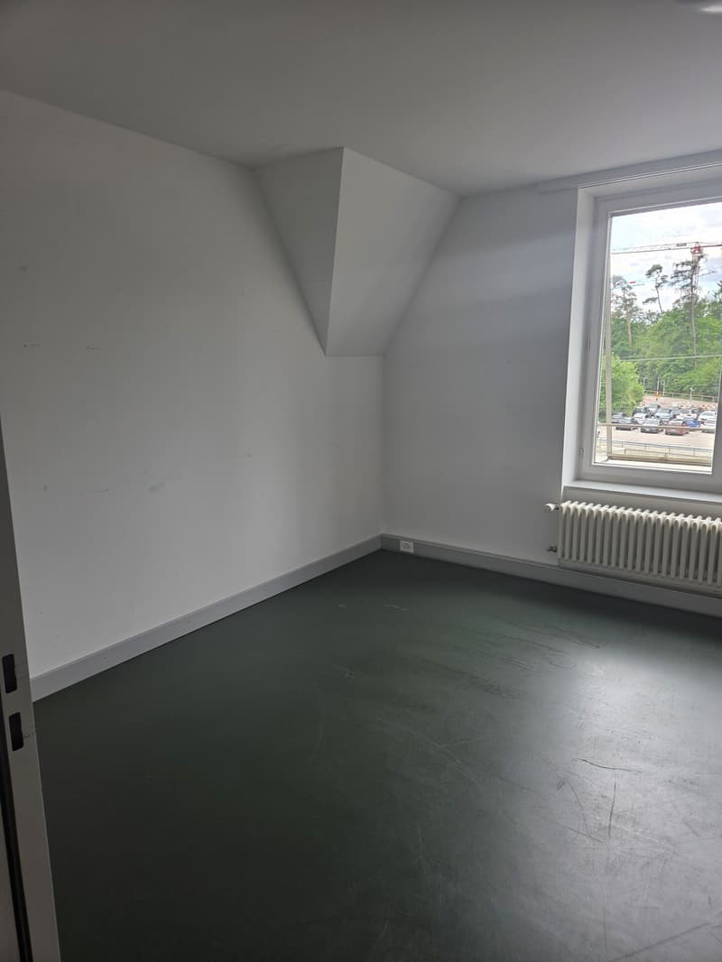 G_kleine Fläche.jpg