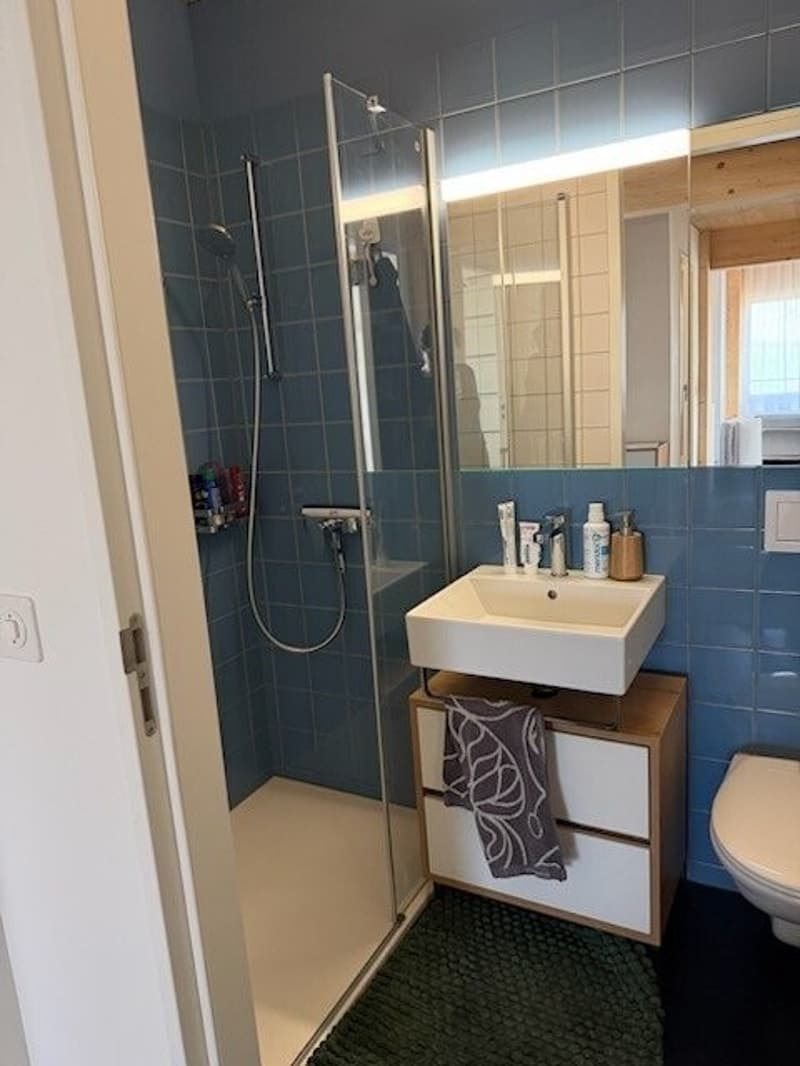 Badezimmer_Dusche.png