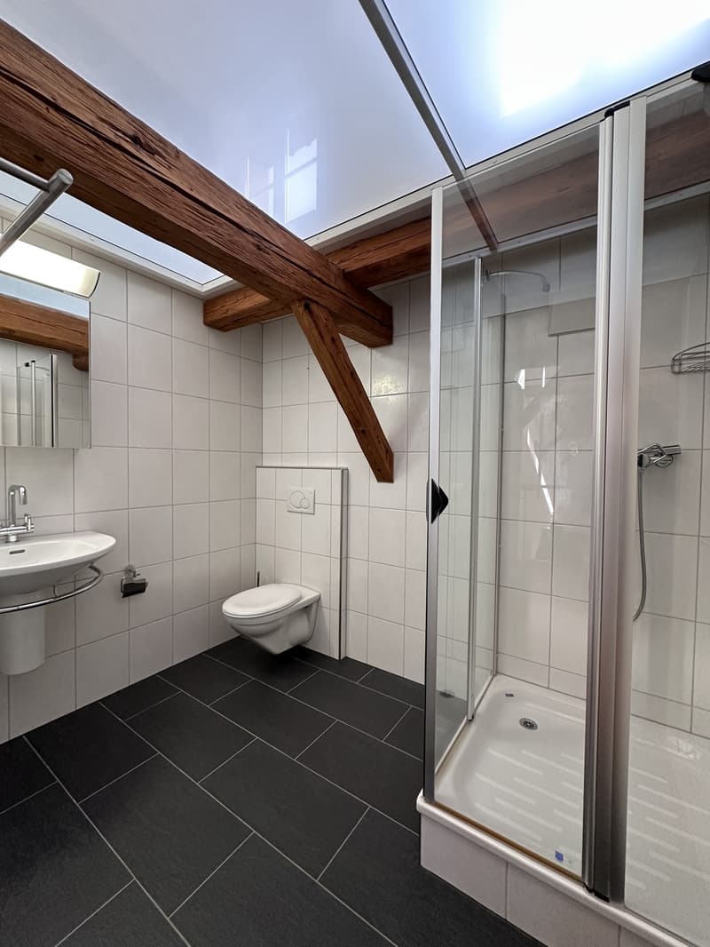 5.5-room apartment for rent in a natural setting (4)