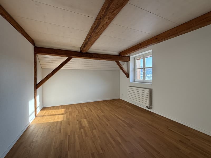 5.5-room apartment for rent in a natural setting (8)