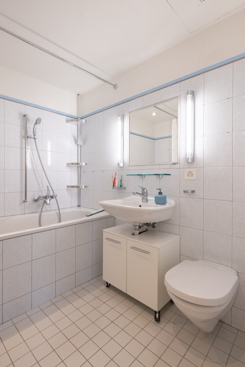Dachgeschosswohnung mit Seesicht Wohnen im Herzen von Zürich-Enge (13)