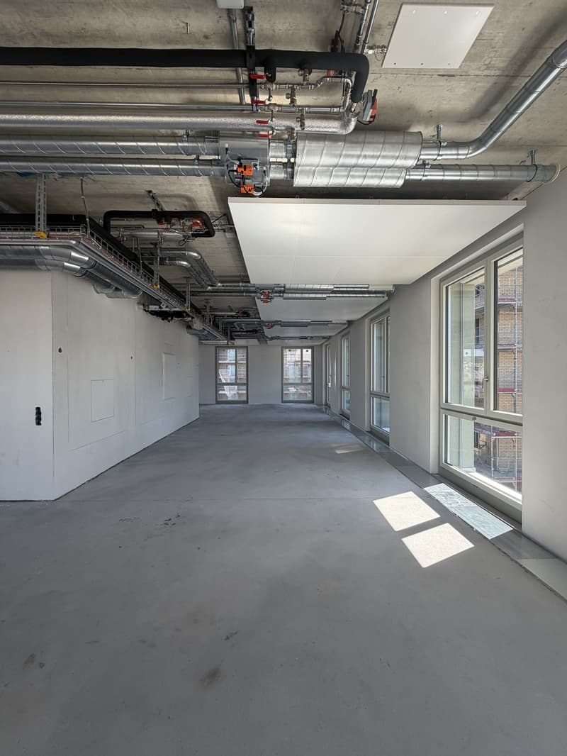 SCHINDLER-AREAL Wir bieten Ihnen die attraktivste Officefläche in Schlieren! (13)