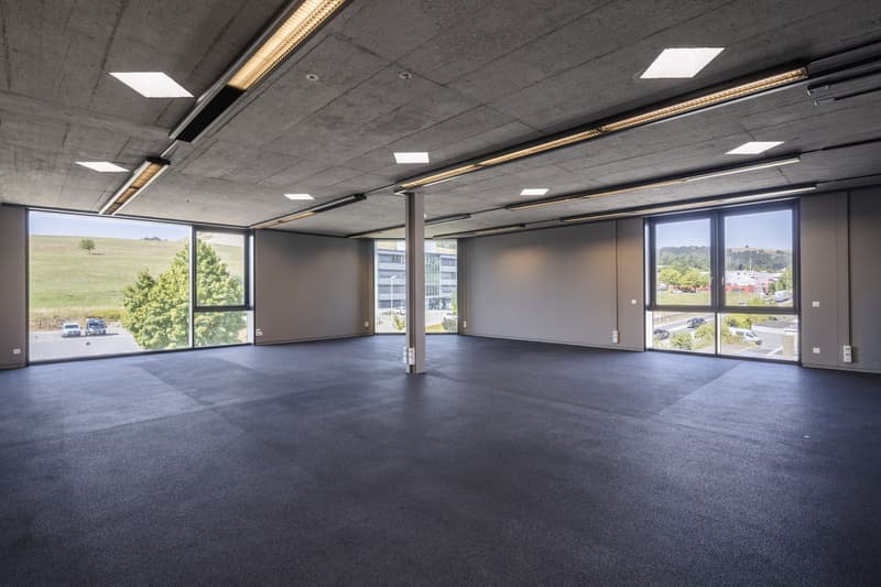 Ausgebaute und bezugsbereite Büro- und Gewerbeflächen (2)