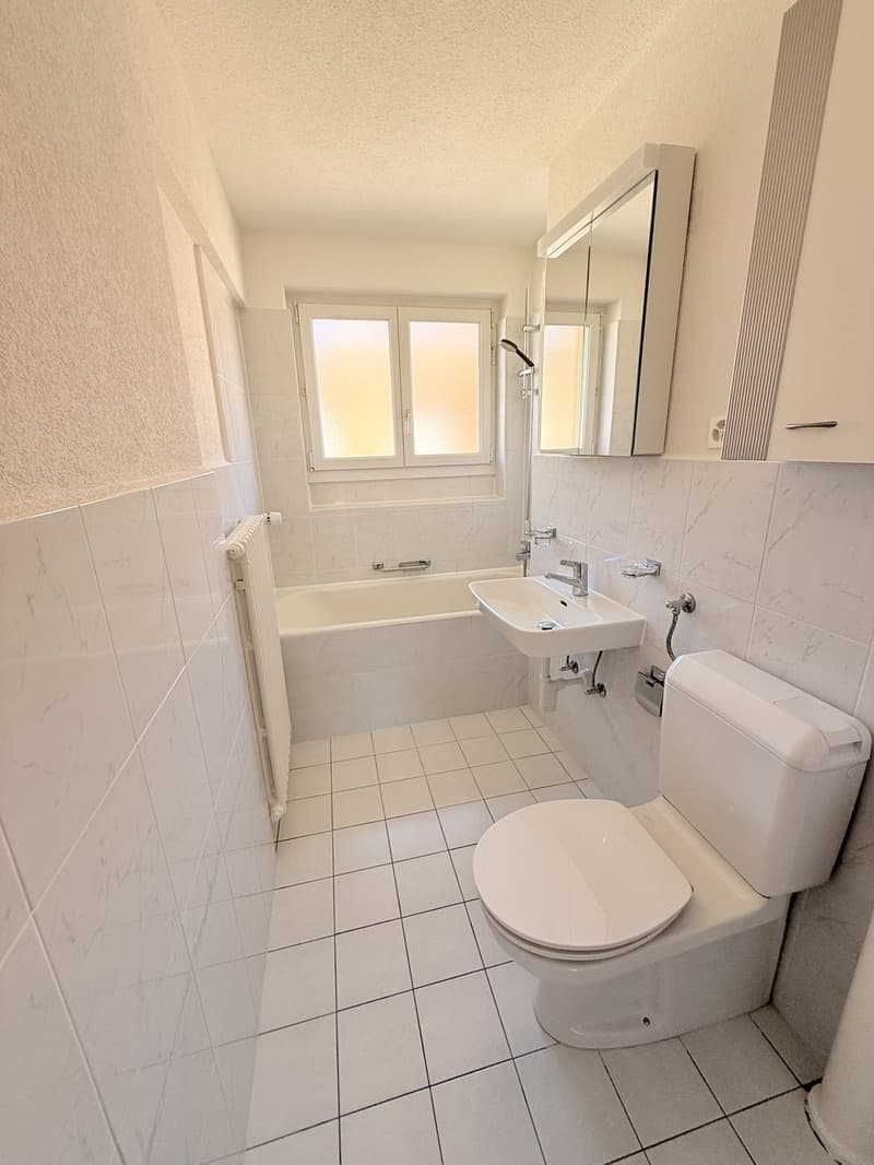 Ruhige 3-Zimmer-Wohnung an zentraler Lage in Zürich Wiedikon/Kreis 3 (4)