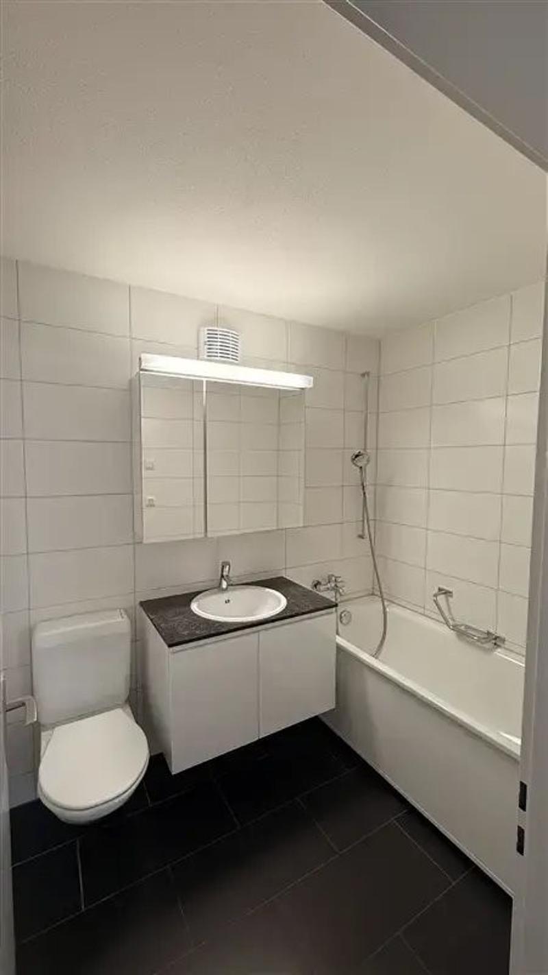 d5356664-de85-487b-9a57-ec4f8c546752.webp