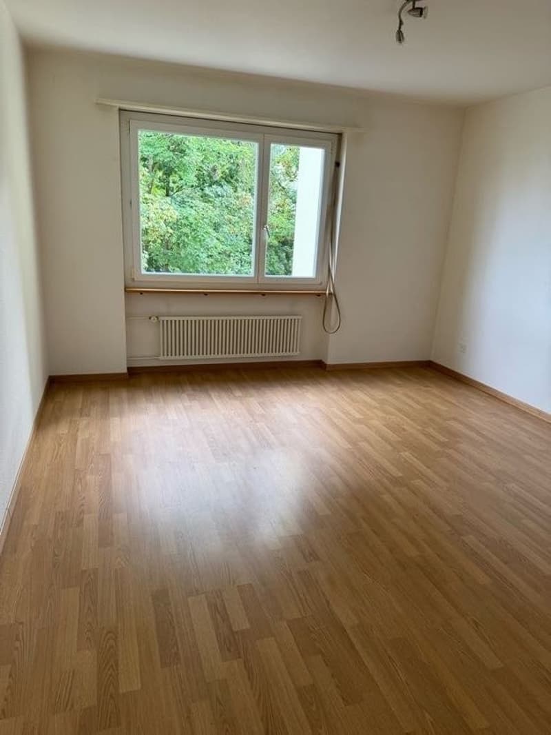 Zimmer