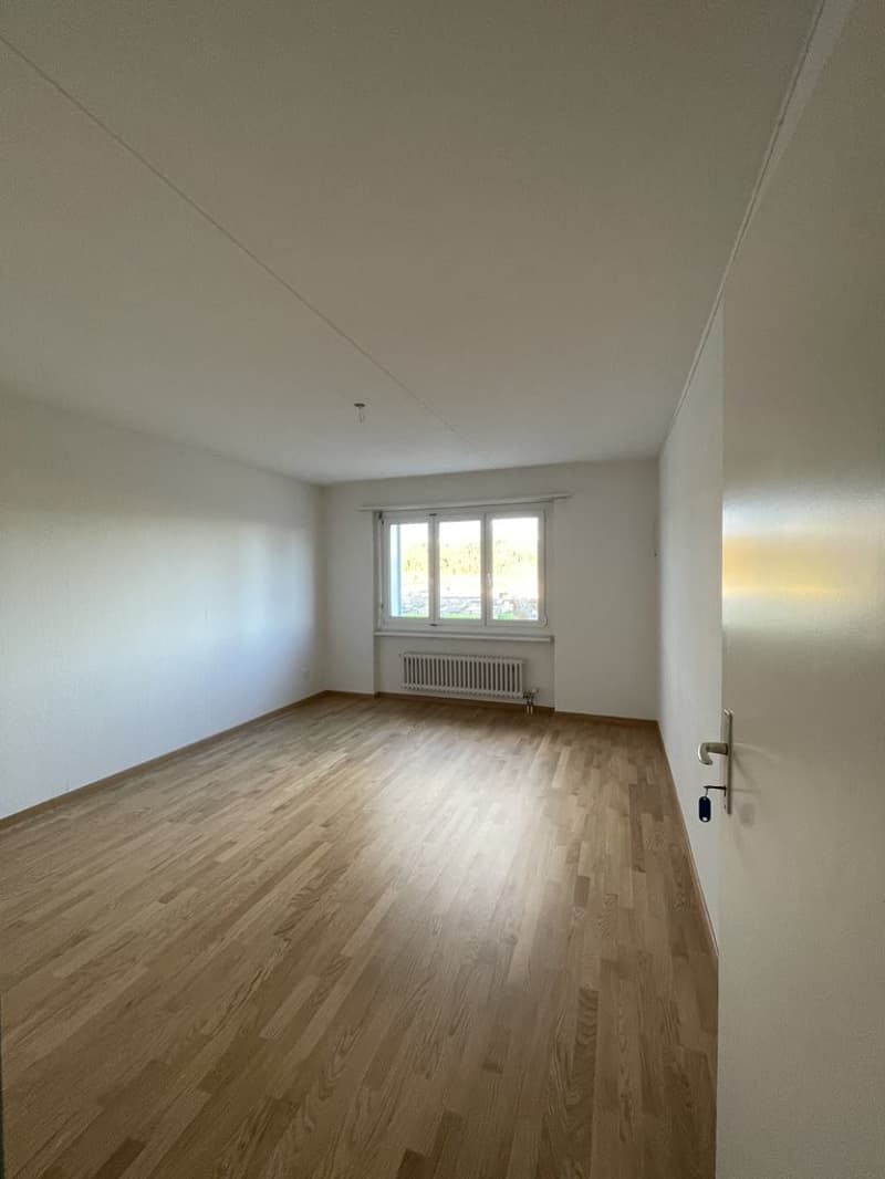 Zimmer