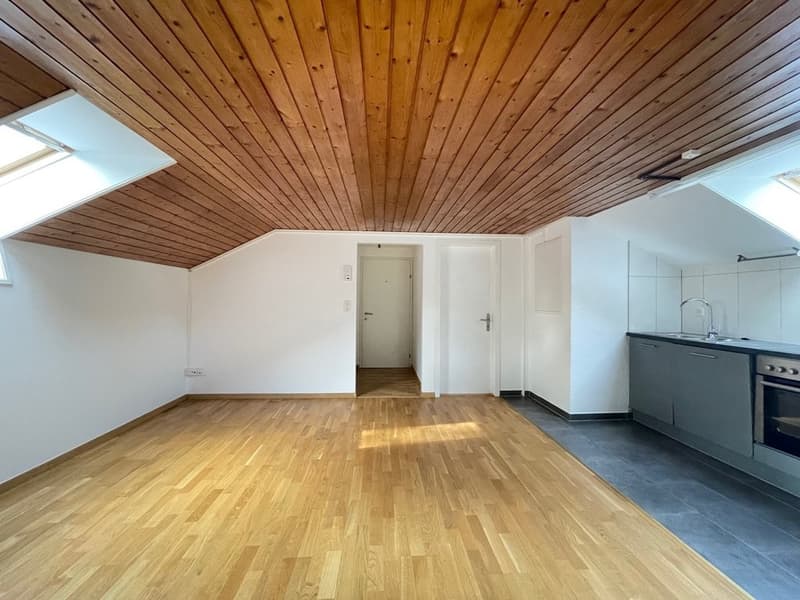Wohnzimmer / Küche