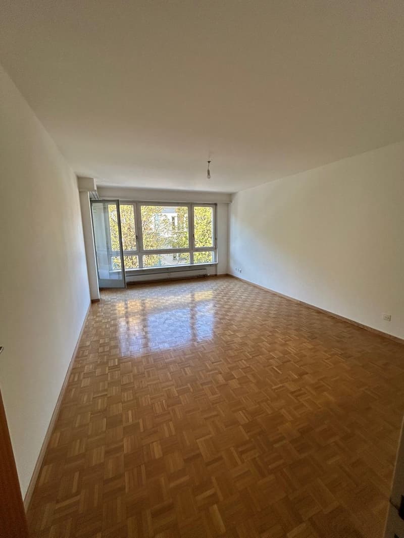 Attraktive 3.5-Zimmer-Wohnung mit 2 Balkonen Nähe Schützenmattpark (4)