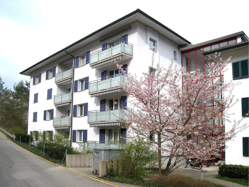 Westfassade
