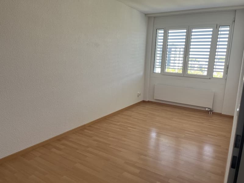 Zimmer3