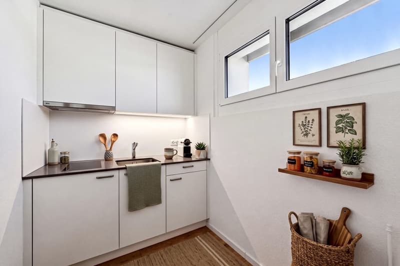 Urban wohnen in Basel moderne 2-Zimmer-Wohnung mit Balkon (3)