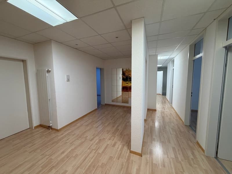 Eingangsbereich_Vorplatz