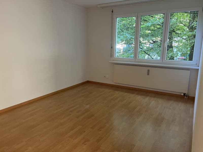 Zimmer1