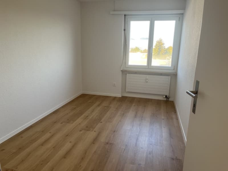 Zimmer1