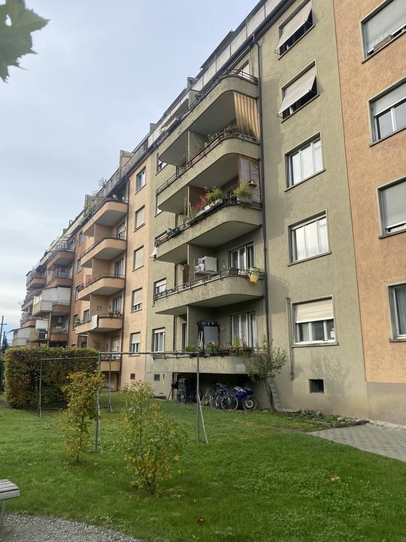 IMG_2251.jpeg