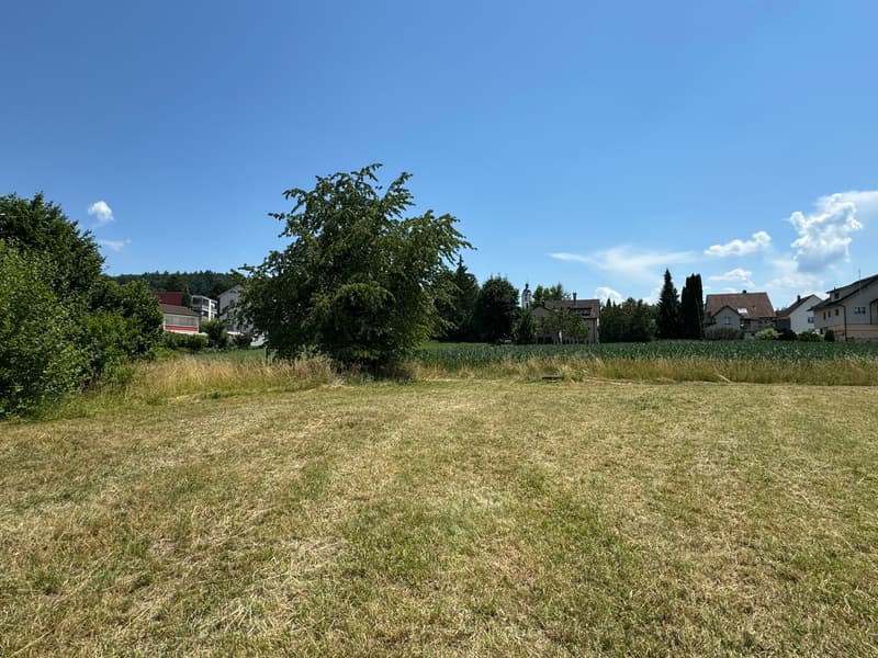Attraktives Bauland für Mehrfamilienhaus in Reinach AG (2)