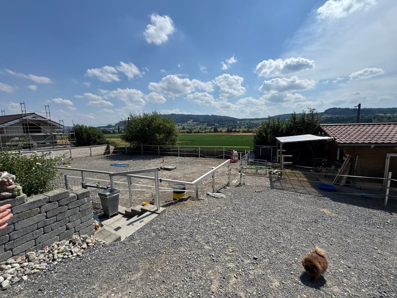 3 Familienhaus mit Pferdestall, Reitplatz, Naturpool und Überlaufbecken (22)
