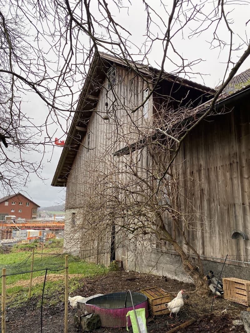 Idyllisches Bauland in exklusiver Lage mit bewilligtem Bauprojekt (6)