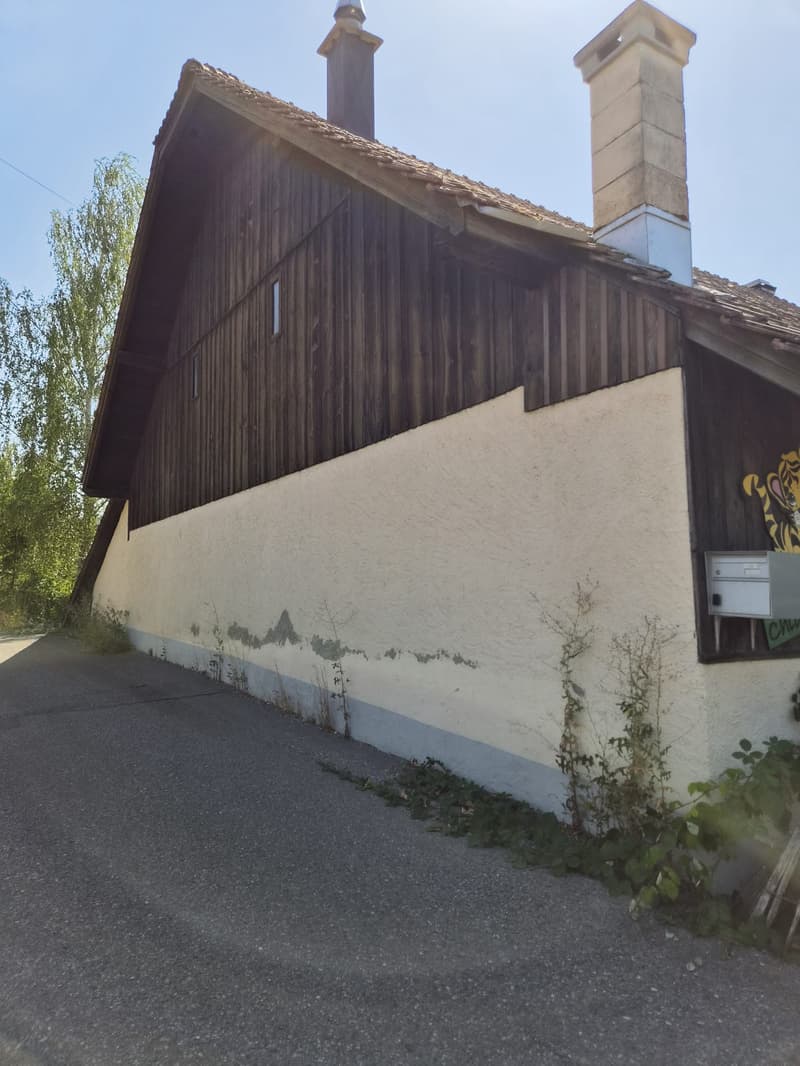 Charmantes Bauernhaus mit grosszügigem Bauland und viel Potenzial (5)