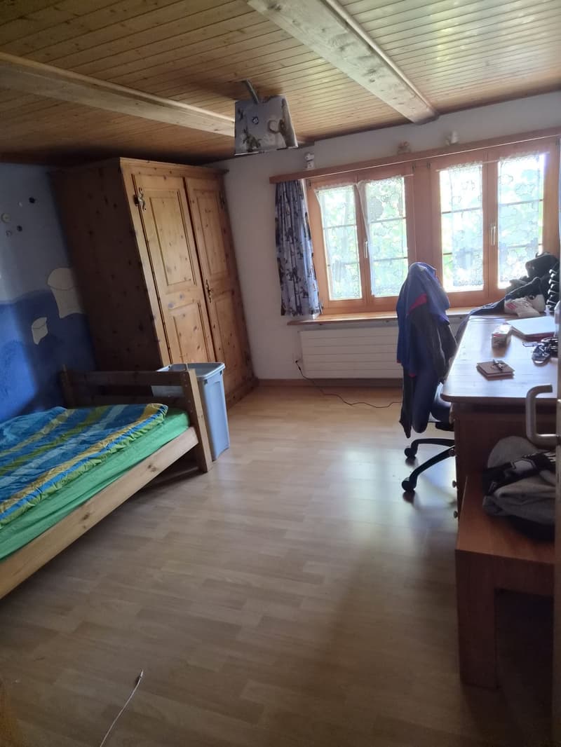 Charmantes Bauernhaus mit grosszügigem Bauland und viel Potenzial (11)