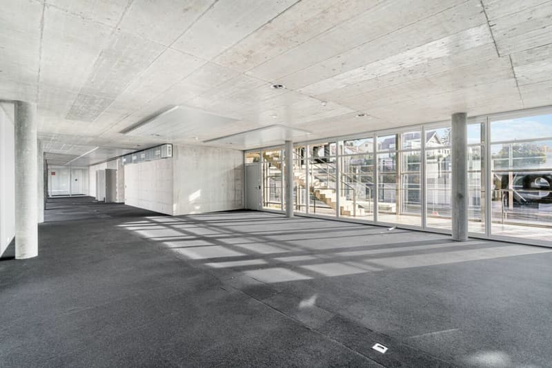 Espaces de bureau représentatifs avec extras particuliers (3)