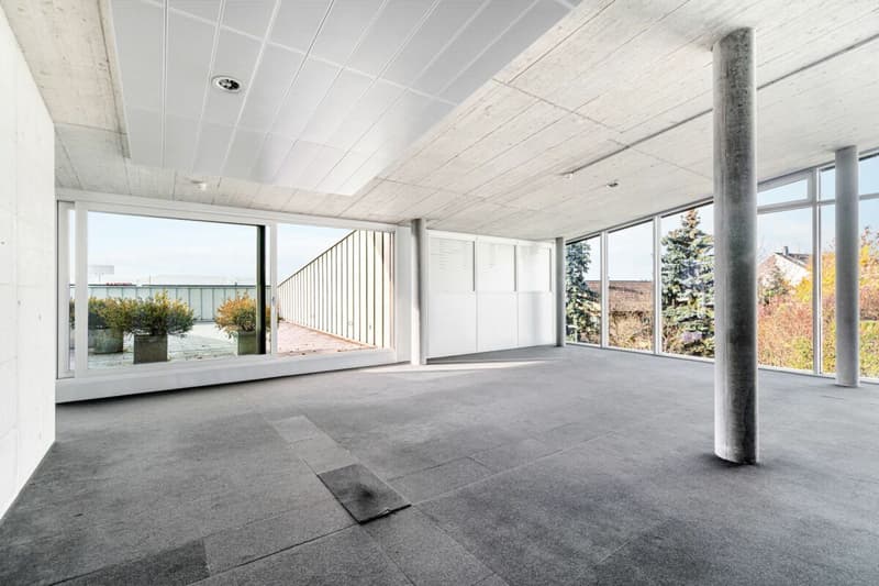 Espaces de bureau représentatifs avec extras particuliers (4)