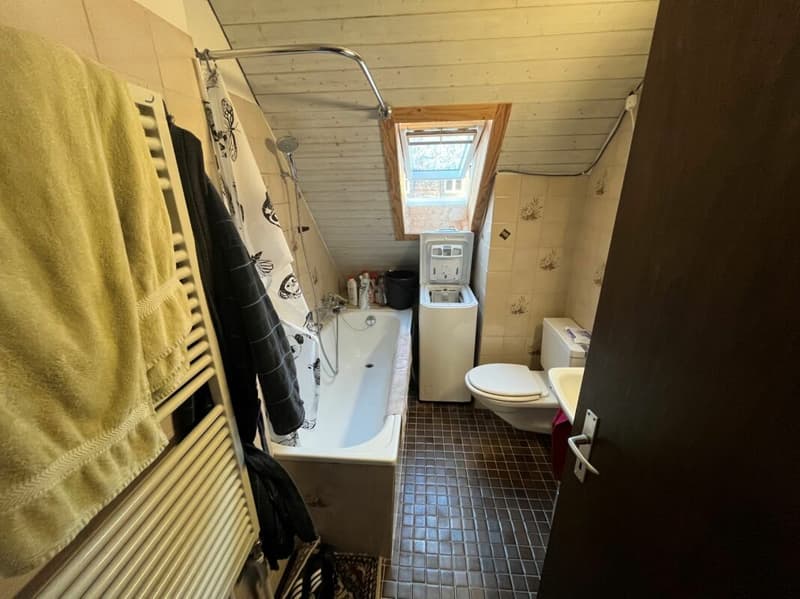 2.5-Zimmer-Wohnung nähe Lochergut (9)
