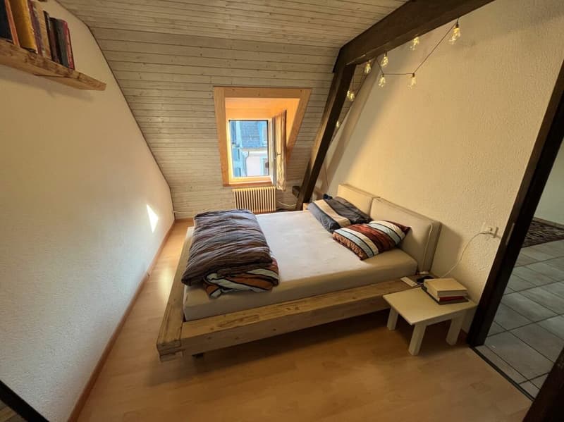 2.5-Zimmer-Wohnung nähe Lochergut (5)