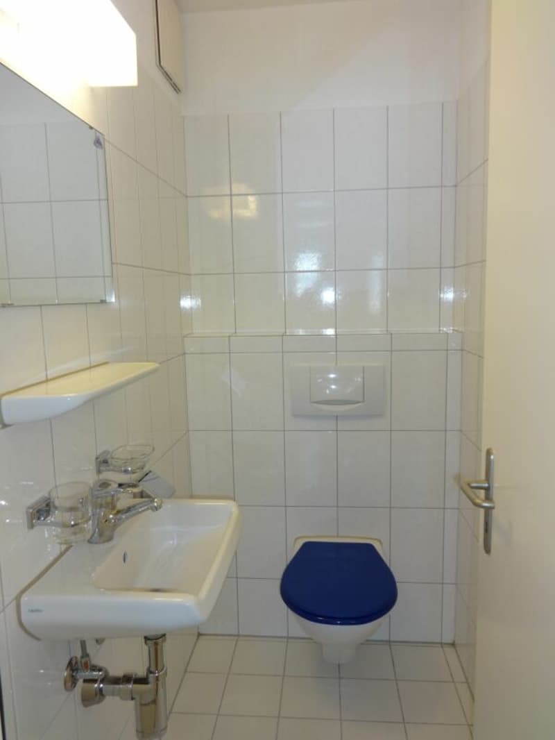 Gepflegte 3.5-Zimmer-Wohnung in Adliswil (7)