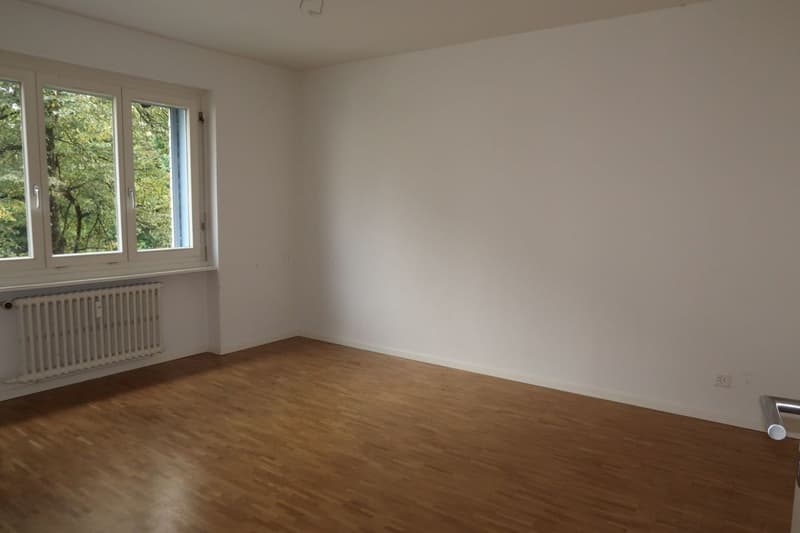 gemütliche 2.5-Zimmer-Wohnung in Oerlikon (4)
