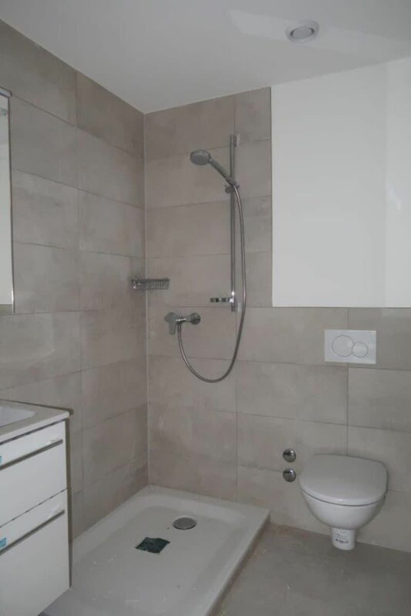 Neu Sanierte 2.5-Zimmer-Wohnung in Stallikon! (6)