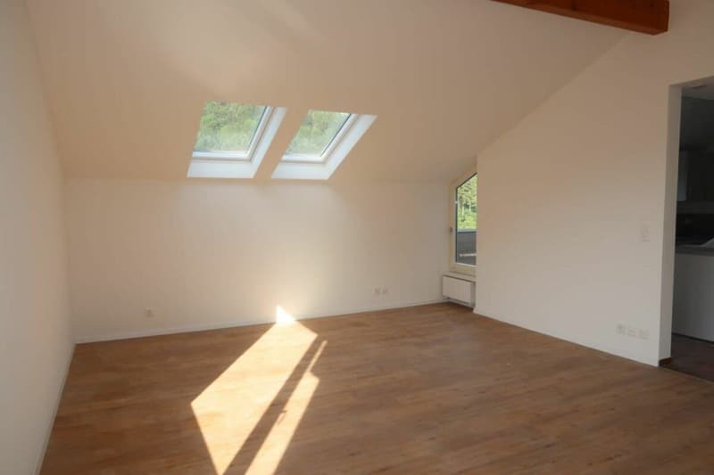 Neu Sanierte 2.5-Zimmer-Wohnung in Stallikon! (4)