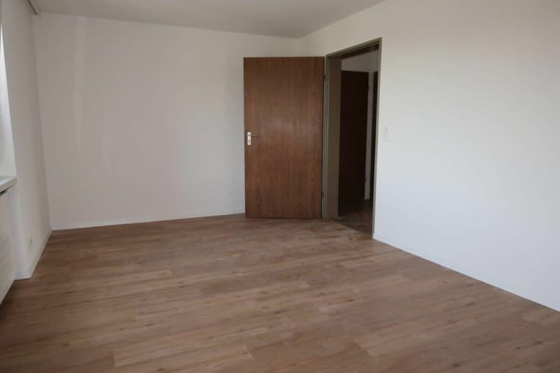Neu Sanierte 2.5-Zimmer-Wohnung in Stallikon! (3)