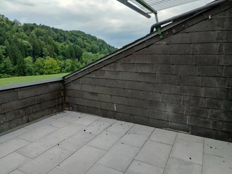 Neu Sanierte 2.5-Zimmer-Wohnung in Stallikon! (9)