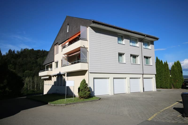 Neu Sanierte 2.5-Zimmer-Wohnung in Stallikon! (1)