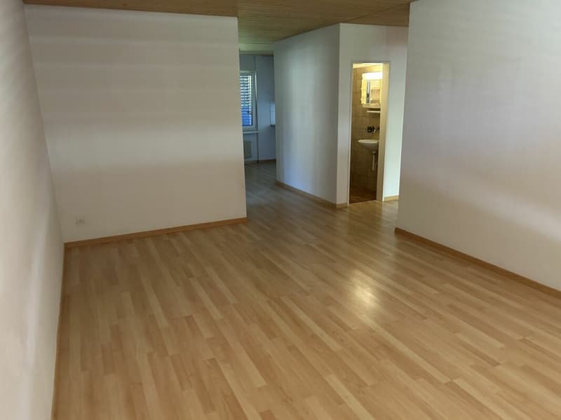 Geräumige Familien-Wohnung in Dübendorf (4)
